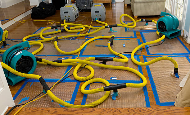 Professional Structural Drying And Dehumidification technician working in South Dartmouth, MA